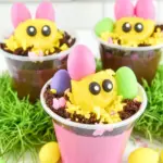 Easter Dirt Cups