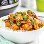 Instant Pot Teriyaki Chicken
