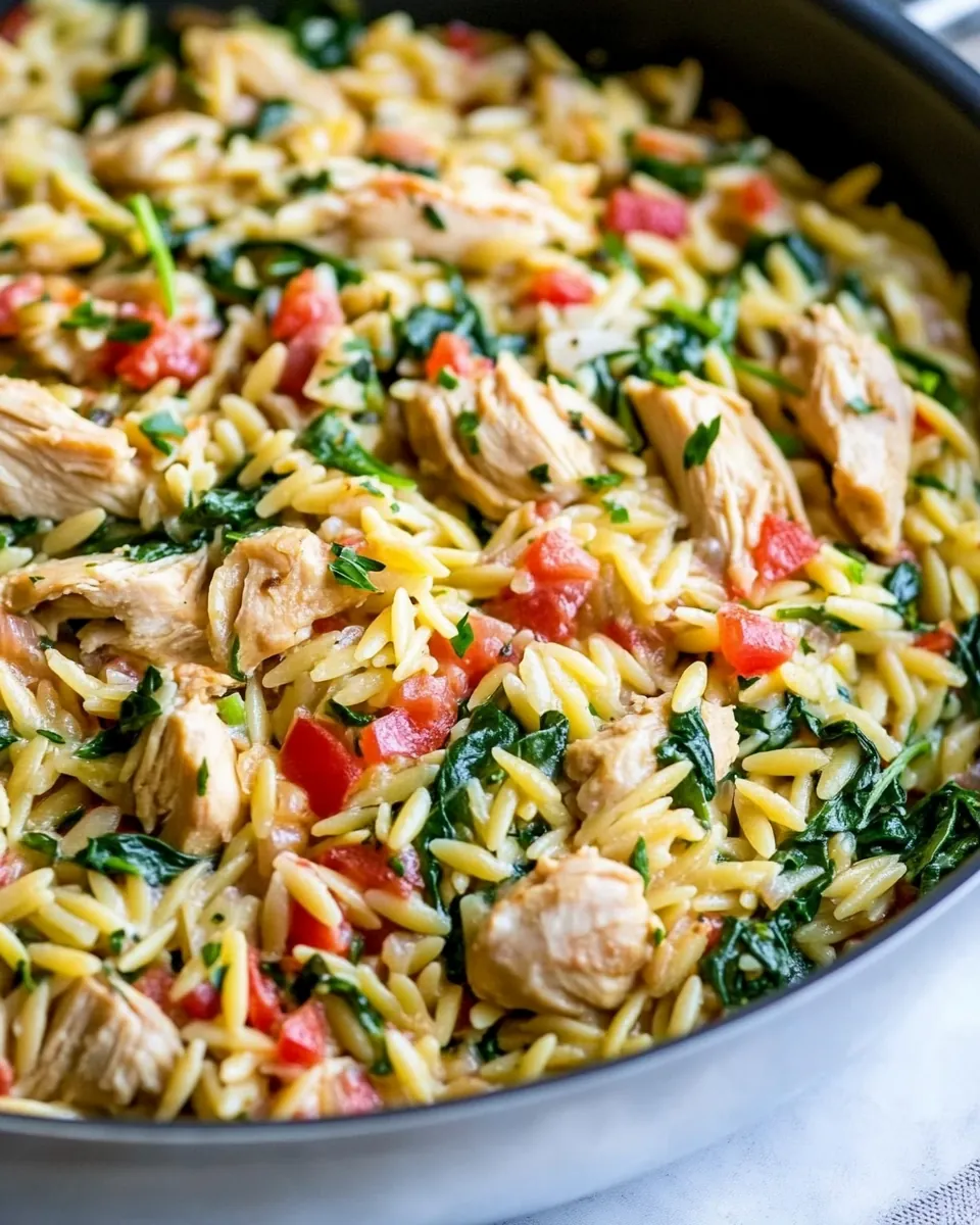 One Pan Chicken and Spinach Orzo