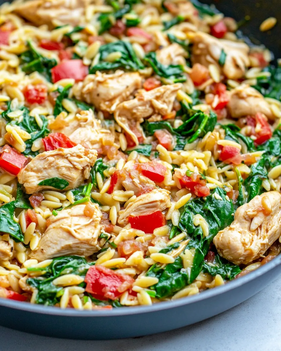 One Pan Chicken and Spinach Orzo