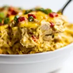 Skinny Chicken Tortilla Casserole