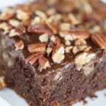 Texas Sheet Cake With Pecans